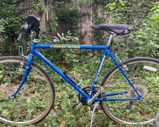 Schwinn Criss Cross Bike, Burley Child Trailer, Grabber Bike Rack, Helmets