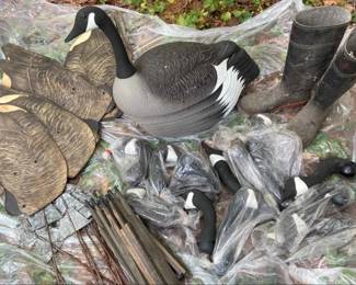 Plastic Duck Decoys, Cardboard Body, Explorers Rubber Boots