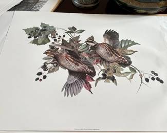 C. Ford Riley (unframed)