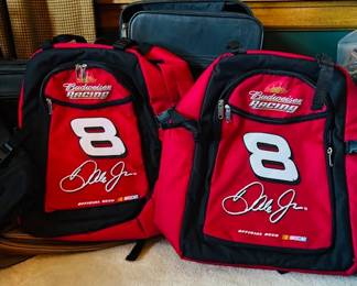 Budweiser cooler backpacks
