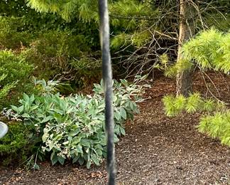 Clamp on Shepherd Hook