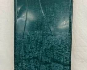 BACKVIEW SIGN BIRELEYS