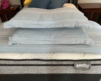 Tommy Hilfiger Queen Comforter Set with 2 pillows 