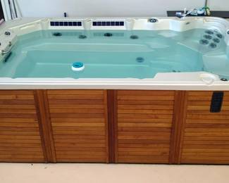 Catalina Spas Swim Fitness Spa, 12.5' x 7.5'