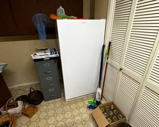 Stand up Freezer-Presale Available