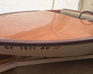 Evinrude Starflite II boat