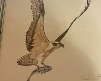 Beautiful Osprey Print