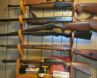 30 06,12ga,22 and military