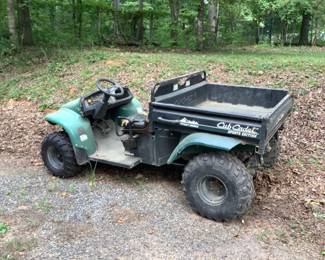 Cub Cadet Sports Edition Utility Vehicle 