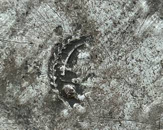 The mark on the backside