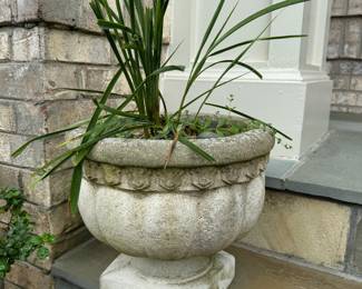 Concrete Planter (2 Total)