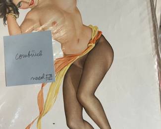 Huge collection of Varga Girls 