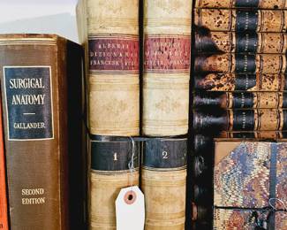 Alberti Dizionario Francese Italy