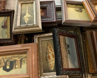 Thomas Waddelow Miniature Painting Collection