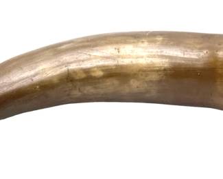 Lot of 2 Antique Bull Powder Horns