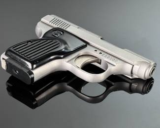 Sterling Arms Model 302 .22 LR Pistol Stainless Steel