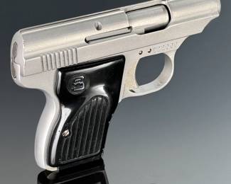 Sterling Arms Model 302 .22 LR Pistol Stainless Steel