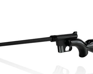 Charter Arms AR-7 Explorer .22 LR Survival Rifle