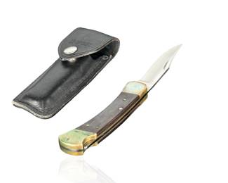 Vintage Buck 110 Folding Knife in case