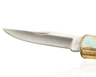 Vintage Buck 110 Folding Knife in case