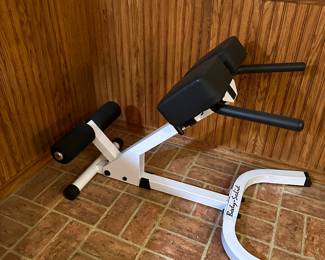 Body Solid exercise machine