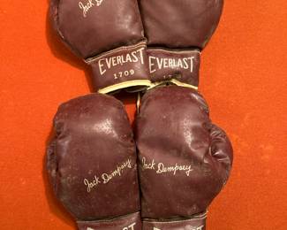 Everlast boxing gloves