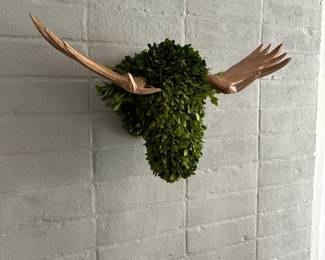 preserved boxwood moosehead