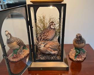 Taxidermy Quail lamp 