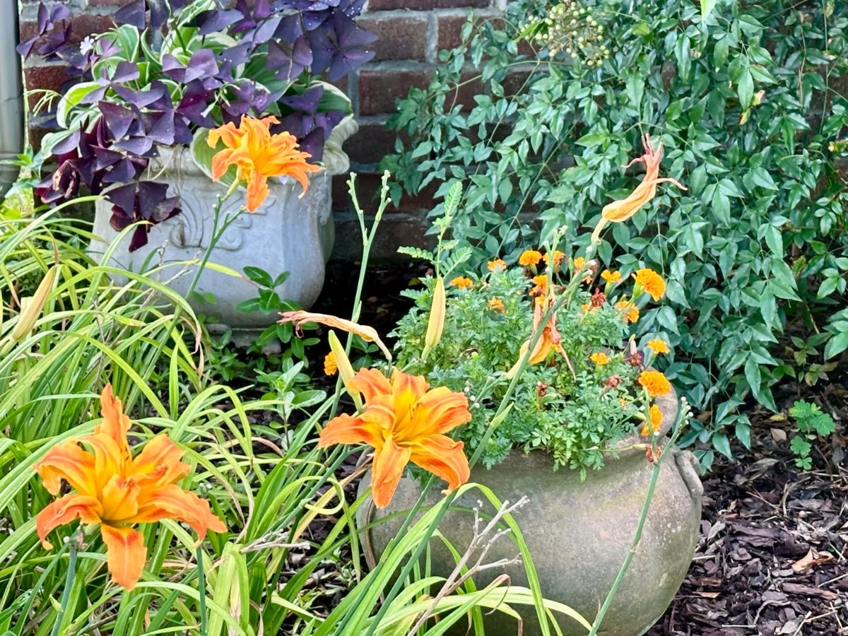 Master gardener's outdoor containers