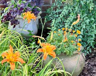 Master gardener's outdoor containers