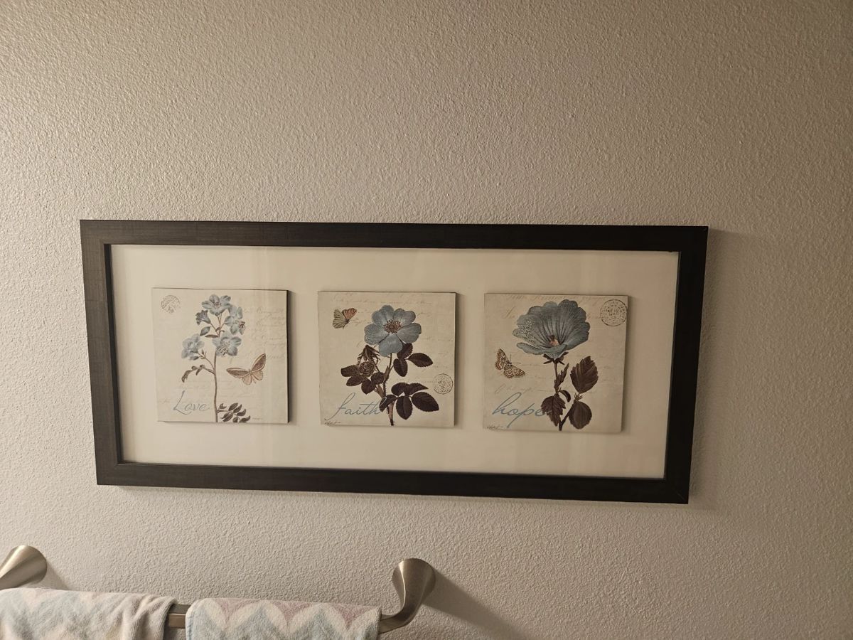 Located in Bathroom  down stairs.   $12