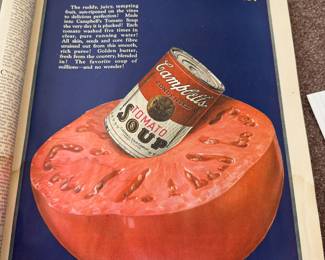 Great old advertisements in early 1900s ladies home journal