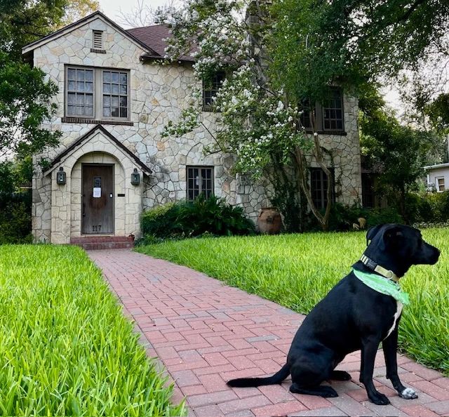 Historic Olmos Park Estate