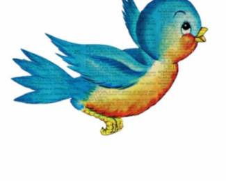 More pics to come next week!