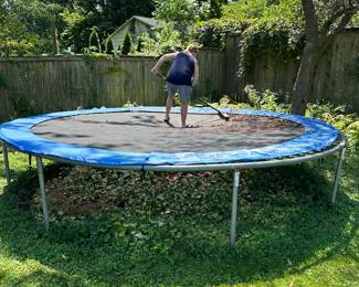 Trampoline (Dottie's favorite piece in the sale?)