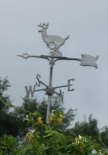 WEATHER VANE