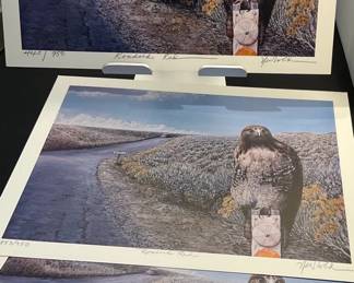 3Ed Newbold Limted Edition Print RED TAIL HAWK Roadside Red  Wildlife Bird Art