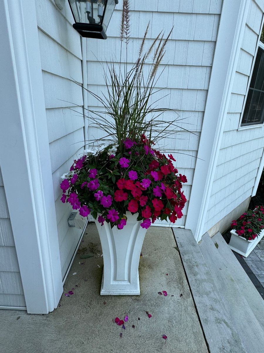 White planters (2) from Forcellati