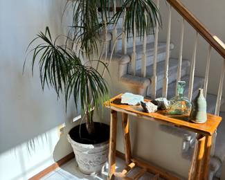 House plant, rustic wood table, Vases