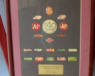 A P Rewards and PIns