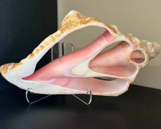 362Aug 20 2024 07 04pmFfik