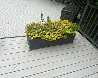 52Jun 11 2024 10 39pmU9eX