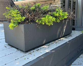 268Aug 20 2024 04 17pmYp4q