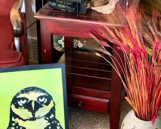 Sony Video Hi8. Owl print