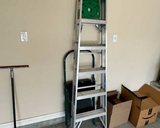 7 ft. Ladder
