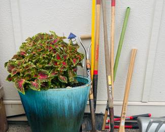 Outdoor tools and healthy foliage in gorgeous pots