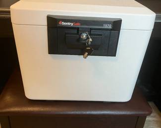 83	$60 	Sentry Safe #1970
