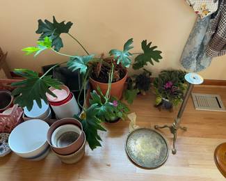 Large selection of planters.