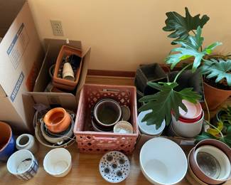 Large selection of planters.