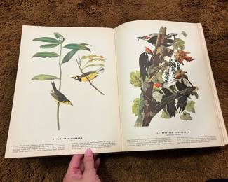 Audobon Book of Birds